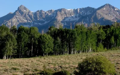 Amicable Divorce in Colorado Springs