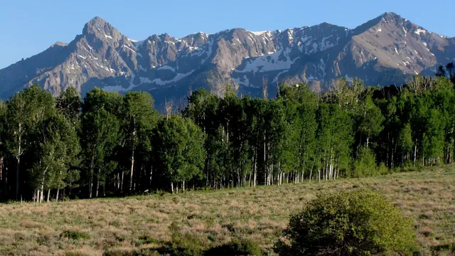 Amicable Divorce in Colorado Springs